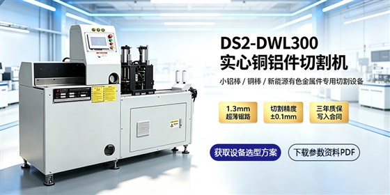 DS2-DWL300实心小铝件切割机